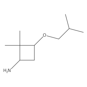 2,2-Dimethyl-3-(2-methylpropoxy)cyclobutan-1-amine结构式