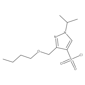 3-(butoxymethyl)-1-isopropyl-1H-pyrazole-4-sulfonyl chloride结构式