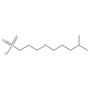 3-[(4-Methylpentyl)oxy]propane-1-sulfonyl chloride Structure
