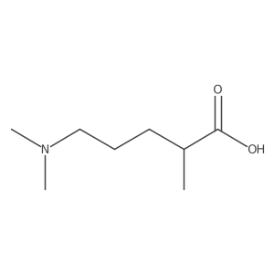 5-(Dimethylamino)-2-methylpentanoic acid Structure