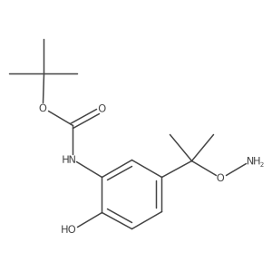 tert-butyl N-{5-[2-(aminooxy)propan-2-yl]-2-hydroxyphenyl}carbamate结构式