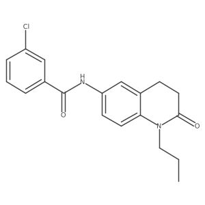 3-chloro-N-(2-oxo-1-propyl-1,2,3,4-tetrahydroquinolin-6-yl)benzamide Structure