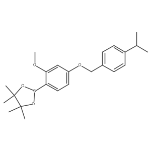 1813553-37-5结构式
