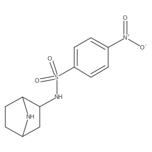 rac-N-[(1R,2S,4S)-7-azabicyclo[2.2.1]heptan-2-yl]-4-nitrobenzene-1-sulfonamide结构式