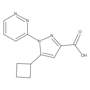 2172154-34-4 structure