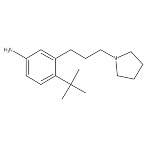 4-Tert-butyl-3-(3-(pyrrolidin-1-yl)propyl)benzenamine结构式