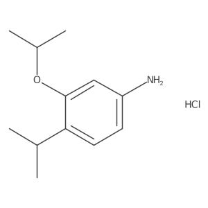 CC(C)Oc1cc(N)ccc1C(C)C.Cl结构式