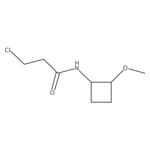 3-chloro-N-(2-methoxycyclobutyl)propanamide结构式