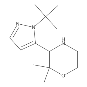 3-(1-tert-butyl-1H-pyrazol-5-yl)-2,2-dimethylmorpholine结构式