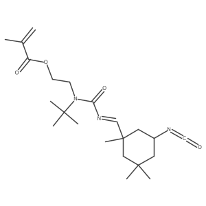 2-[(1,1-Dimethylethyl)[[[(5-isocyanato-1,3,3-trimethylcyclohexyl)methylene]amino]carbonyl]amino]ethyl 2-methyl-2-propenoate Structure