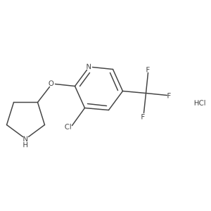 3-Chloro-2-(pyrrolidin-3-yloxy)-5-(trifluoromethyl)pyridine hydrochloride结构式