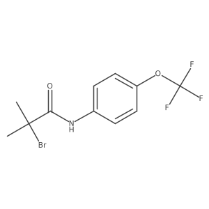 2-bromo-2-methyl-N-[4-(trifluoromethoxy)phenyl]propanamide结构式