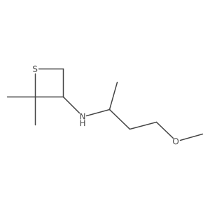 N-(4-Methoxybutan-2-yl)-2,2-dimethylthietan-3-amine Structure