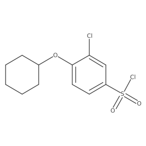 3-Chloro-4-(cyclohexyloxy)benzene-1-sulfonyl chloride Structure