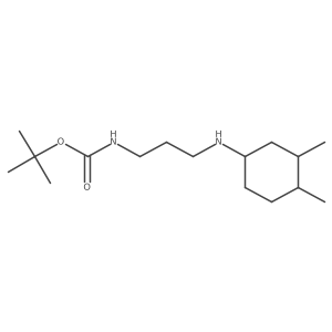 tert-Butyl N-{3-[(3,4-dimethylcyclohexyl)amino]propyl}carbamate结构式