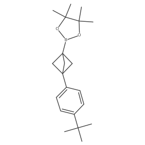 2-[3-(4-Tert-butylphenyl)bicyclo[1.1.1]pentan-1-yl]-4,4,5,5-tetramethyl-1,3,2-dioxaborolane结构式