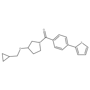 (3-(Cyclopropylmethoxy)pyrrolidin-1-yl)(4-(thiophen-2-yl)phenyl)methanone Structure