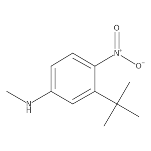 3-(tert-butyl)-N-methyl-4-nitroaniline结构式