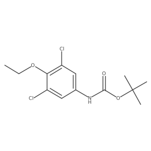 (3,5-Dichloro-4-ethoxy-phenyl)-carbamic acid tert-butyl ester结构式