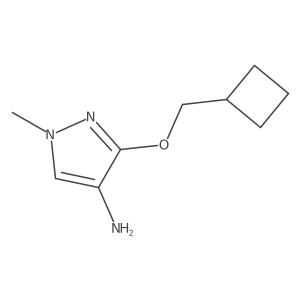 3-(cyclobutylmethoxy)-1-methyl-1H-pyrazol-4-amine Structure