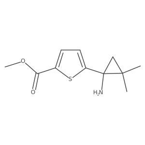 Methyl 5-(1-amino-2,2-dimethylcyclopropyl)thiophene-2-carboxylate结构式