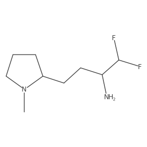 1,1-Difluoro-4-(1-methylpyrrolidin-2-yl)butan-2-amine Structure
