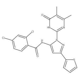 2,4-dichloro-N-(1-(4,5-dimethyl-6-oxo-1,6-dihydropyrimidin-2-yl)-3-(thiophen-2-yl)-1H-pyrazol-5-yl)benzamide Structure