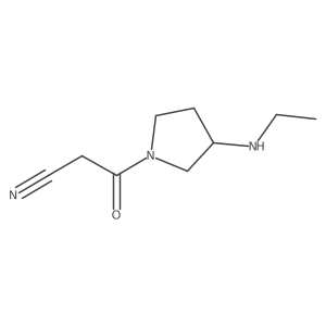 3-[3-(Ethylamino)pyrrolidin-1-yl]-3-oxopropanenitrile结构式