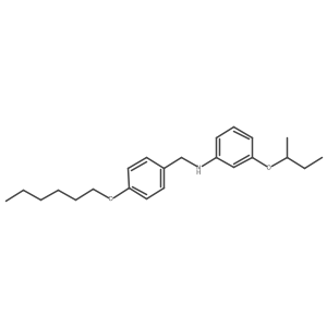 3-(Sec-butoxy)-N-[4-(hexyloxy)benzyl]aniline Structure