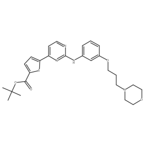 1,1-Dimethylethyl 5-[2-[[3-[3-(4-morpholinyl)propoxy]phenyl]amino]-4-pyrimidinyl]-2-thiophenecarboxylate结构式