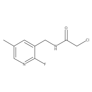 2-Chloro-N-[(2-fluoro-5-methylpyridin-3-yl)methyl]acetamide结构式