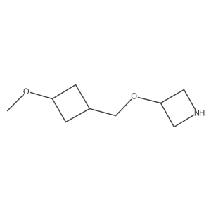 3-[(3-Methoxycyclobutyl)methoxy]azetidine Structure