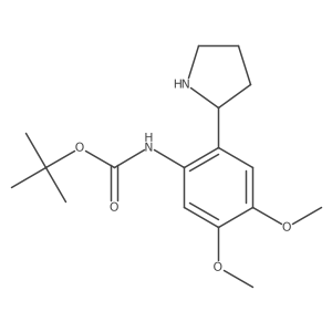 tert-butyl N-[4,5-dimethoxy-2-(pyrrolidin-2-yl)phenyl]carbamate结构式