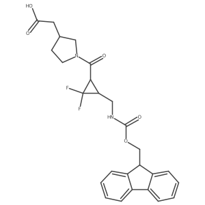 2172007-24-6结构式