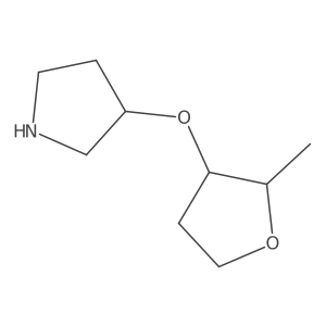 3-[(2-Methyloxolan-3-yl)oxy]pyrrolidine Structure