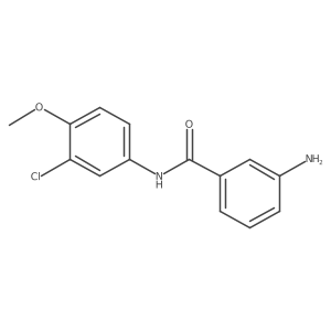 3-Amino-N-(3-chloro-4-methoxyphenyl)benzamide结构式
