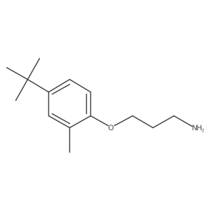 1-(3-Aminopropoxy)-4-tert-butyl-2-methylbenzene结构式