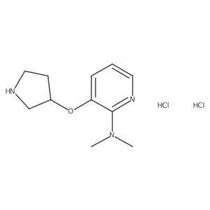 N,N-dimethyl-3-(pyrrolidin-3-yloxy)pyridin-2-amine dihydrochloride结构式