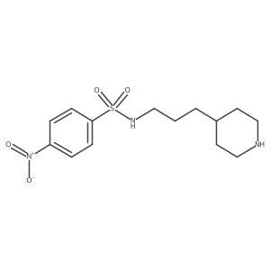 4-nitro-N-[3-(piperidin-4-yl)propyl]benzene-1-sulfonamide Structure