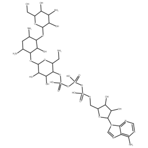 Adenosine 5a(2)-(tetrahydrogen triphosphate), 4a(2)-ester with O-3-amino-3-deoxy-I+/--D-glucopyranosyl-(1a6)-O-[6-amino-6-deoxy-I+/--D-glucopyranosyl-(1a4)]-2-deoxy-D-streptamine结构式