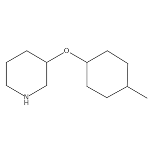 3-[(4-Methylcyclohexyl)oxy]piperidine结构式