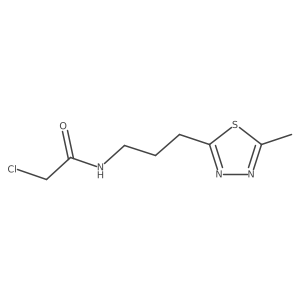 2-Chloro-N-[3-(5-methyl-1,3,4-thiadiazol-2-yl)propyl]acetamide Structure