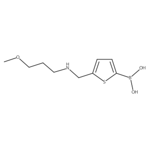 [5-({[3-(Methyloxy)propyl]amino}methyl)-2-thienyl]boronic acid结构式