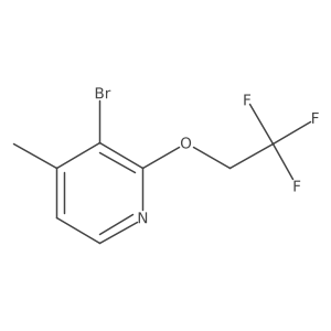 3-Bromo-4-methyl-2-(2,2,2-trifluoroethoxy)pyridine Structure