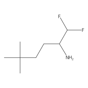 1,1-Difluoro-5,5-dimethylhexan-2-amine Structure