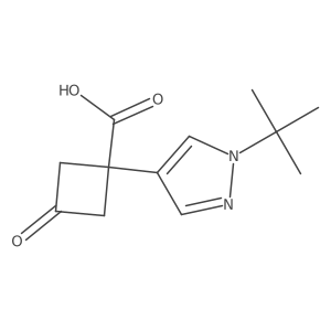 1-(1-tert-butyl-1H-pyrazol-4-yl)-3-oxocyclobutane-1-carboxylic acid结构式