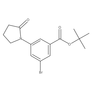 3-Bromo-5-(2-oxo-pyrrolidin-1-yl)-benzoic acid tert-butyl ester Structure