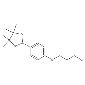 2-[4-(3-Chloropropoxy)phenyl]-4,4,5,5-tetramethyl-1,3,2-dioxaborolane Structure