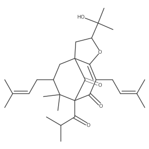 garsubellin A Structure