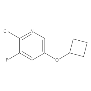 1620690-98-3结构式